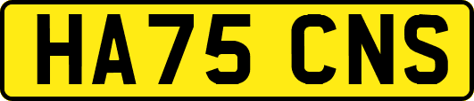 HA75CNS