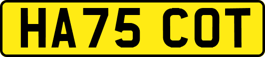 HA75COT
