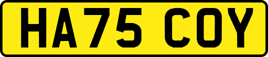 HA75COY