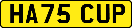HA75CUP