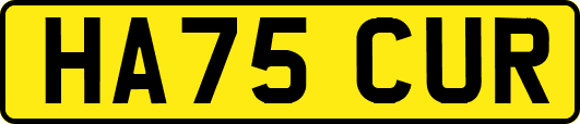 HA75CUR