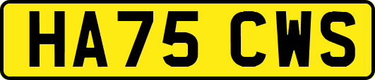 HA75CWS