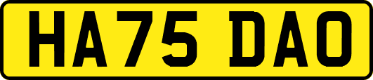 HA75DAO