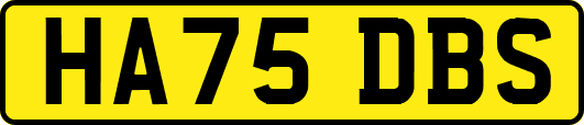 HA75DBS