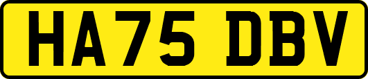 HA75DBV