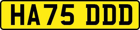 HA75DDD