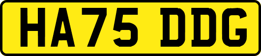 HA75DDG