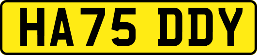 HA75DDY