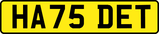 HA75DET