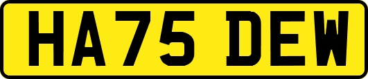 HA75DEW