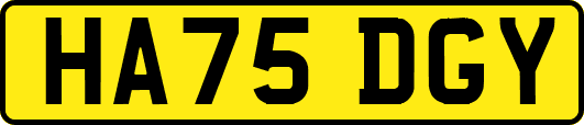 HA75DGY
