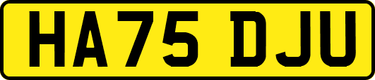 HA75DJU