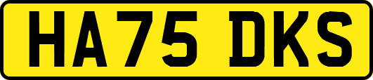 HA75DKS