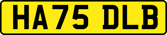 HA75DLB