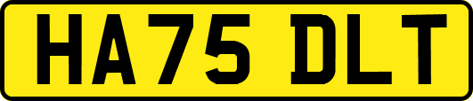 HA75DLT