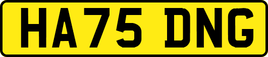 HA75DNG