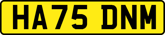 HA75DNM