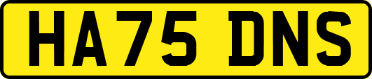 HA75DNS