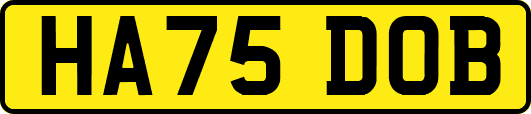 HA75DOB