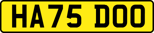 HA75DOO