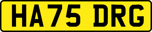HA75DRG