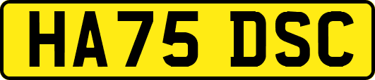HA75DSC