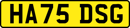 HA75DSG