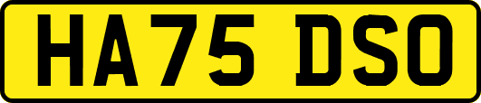 HA75DSO