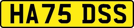 HA75DSS