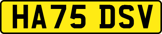 HA75DSV