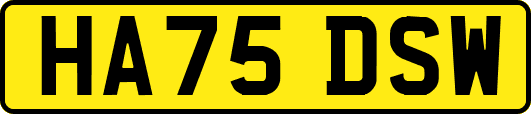 HA75DSW