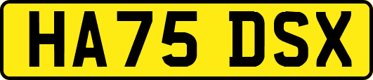 HA75DSX