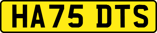 HA75DTS