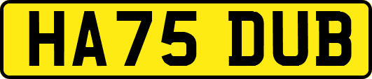 HA75DUB