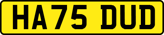 HA75DUD