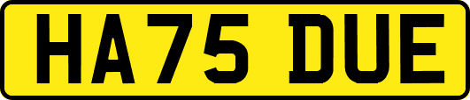 HA75DUE