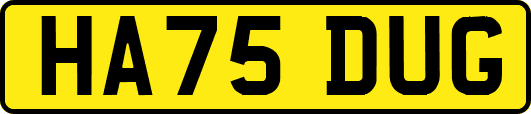 HA75DUG