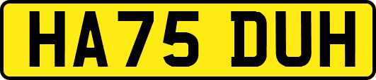 HA75DUH