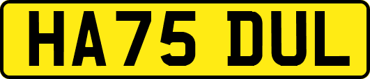 HA75DUL