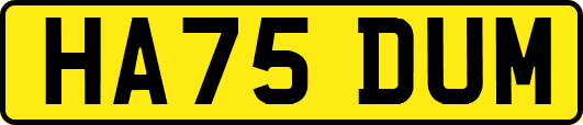 HA75DUM