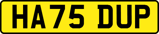HA75DUP