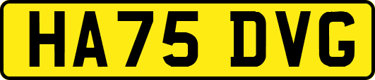HA75DVG