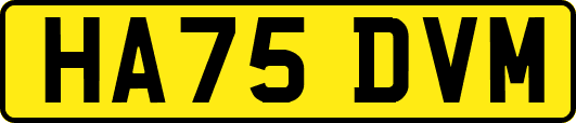 HA75DVM