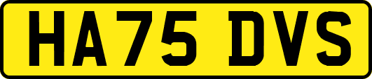 HA75DVS