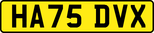 HA75DVX