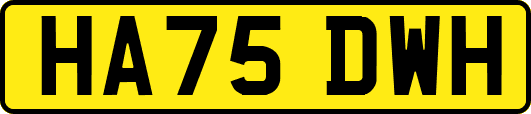 HA75DWH