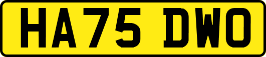 HA75DWO