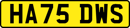 HA75DWS