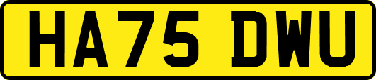 HA75DWU