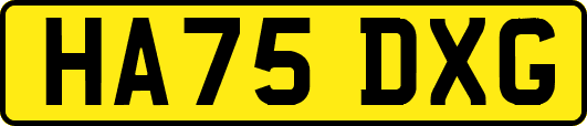 HA75DXG